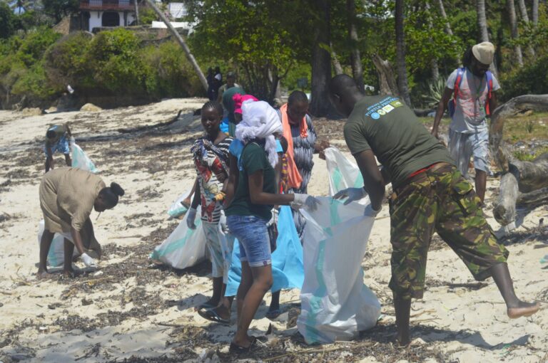 Mtwapa Beach Cleanup exercise