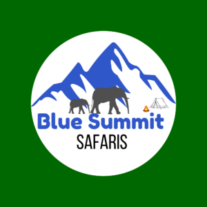 Yellow and Green Wildlife Safari Logo